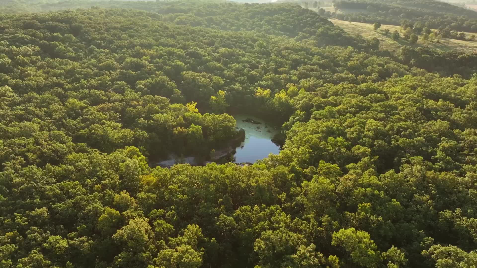 3481 Pump Hollow Road Unbranded